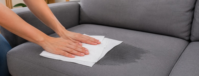 Pessoa pressionando folhas de papel toalha com cuidado sobre o assento de um sofá cinza para absorver a umidade sem esfregar o tecido.